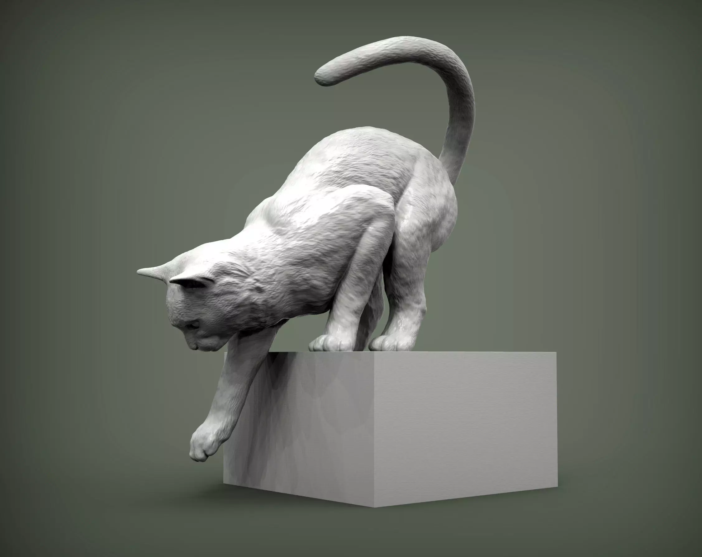 Cat for 3d printing 3D print model