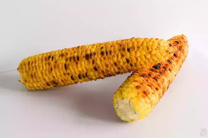 Corn  3D model