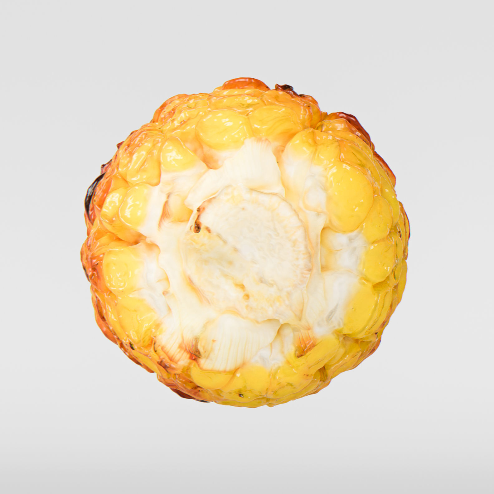 Corn  3D model_6