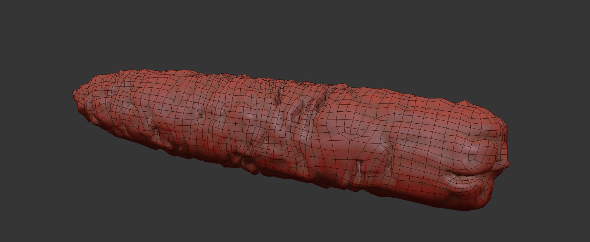 Corn  3D model_9