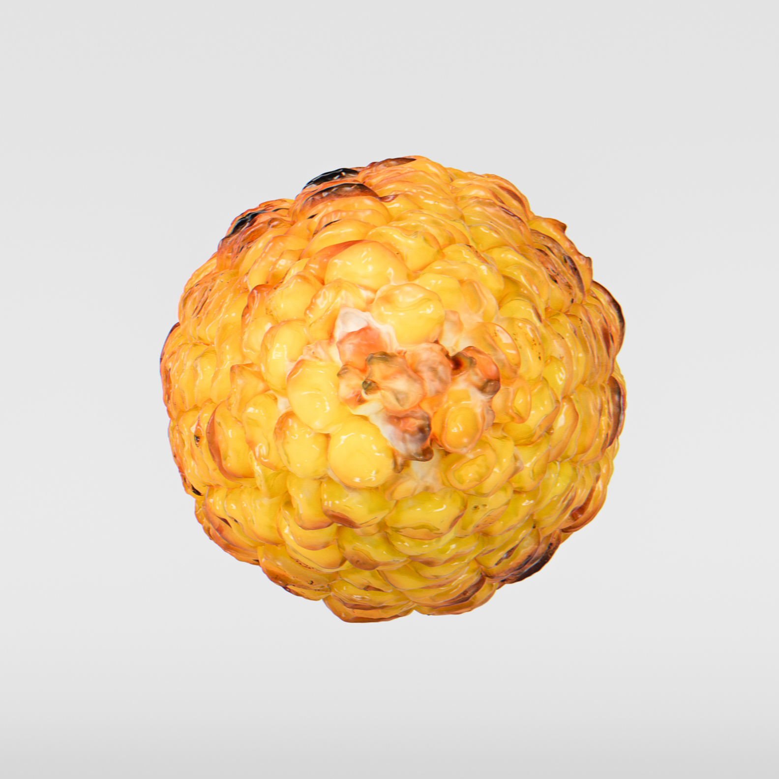 Corn  3D model_7