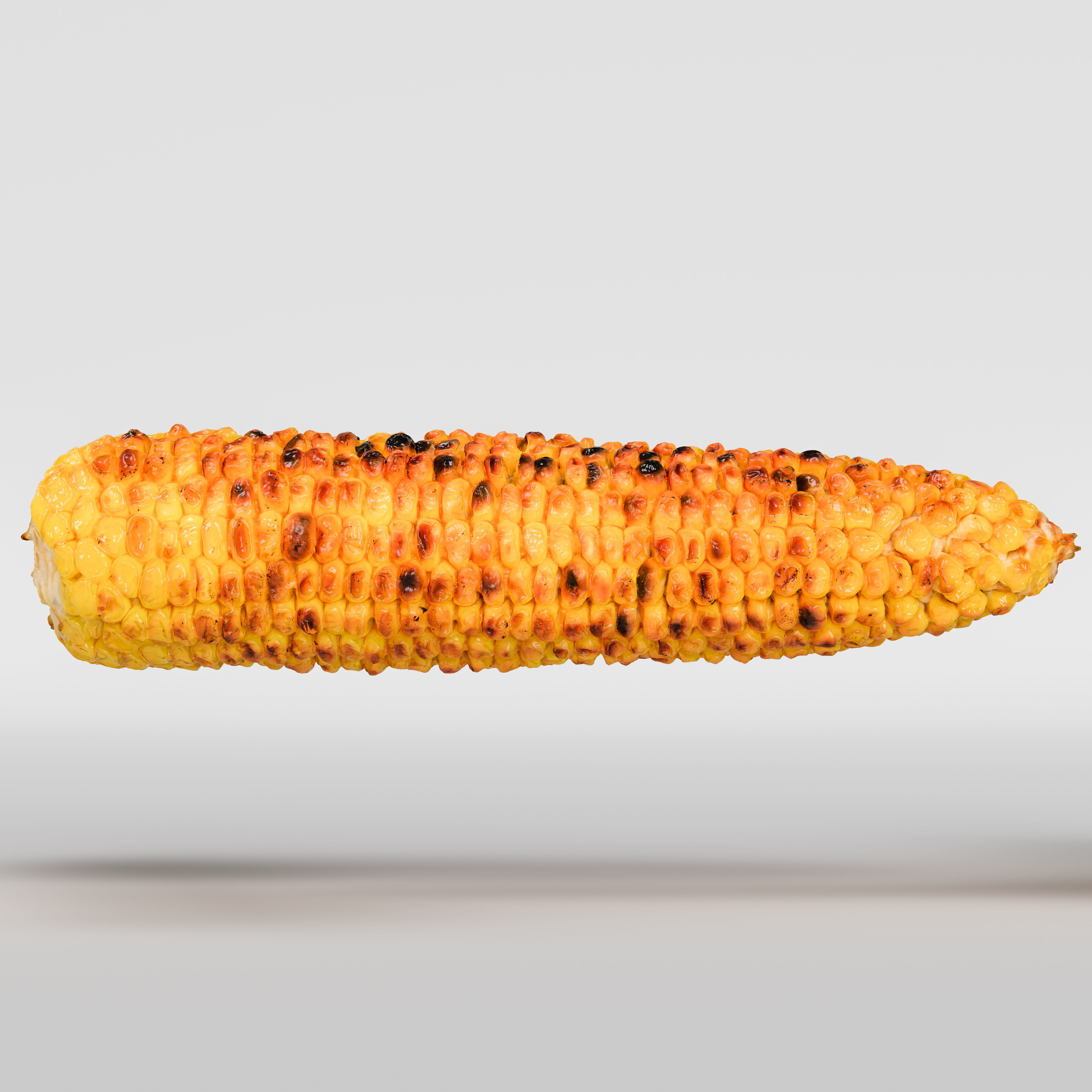 Corn  3D model_5