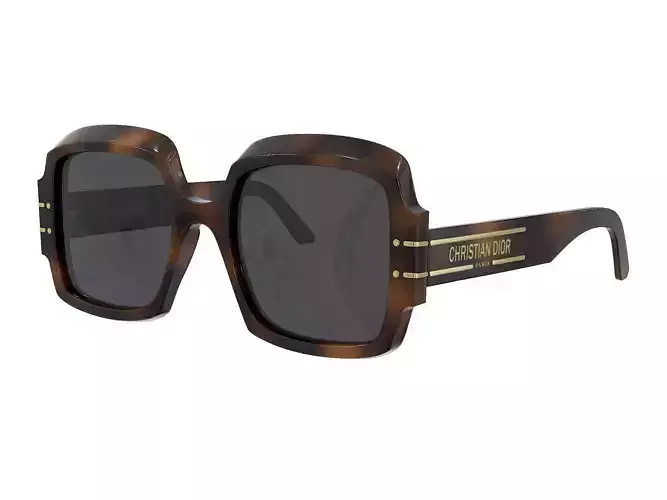 DIOR DIORSIGNATURE S1U Tortoiseshell Effect Square Sunglasses 3D model