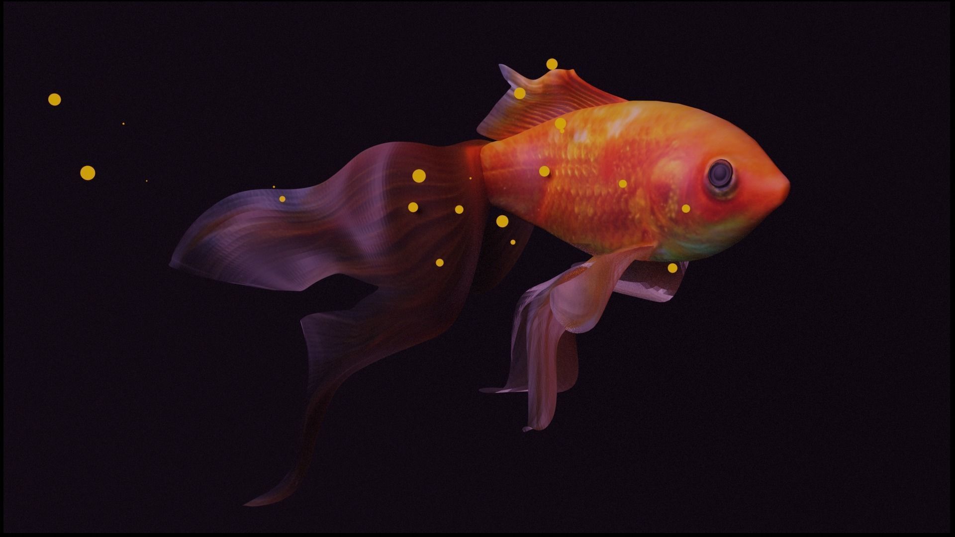 veil tail goldfish 3D model_2