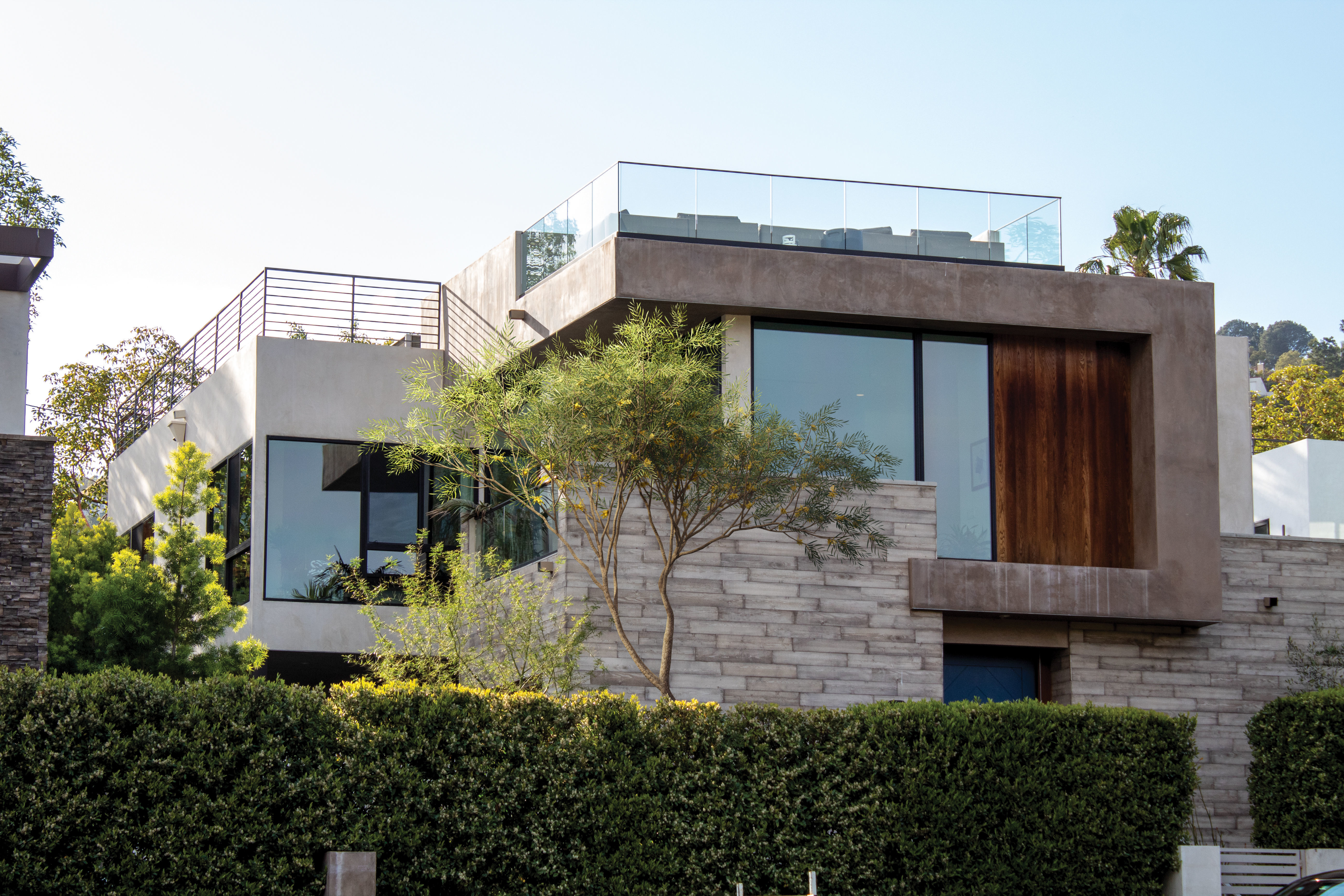 2021 PBR Brigalow Collection - Acacia Harpophylla 3D model_2