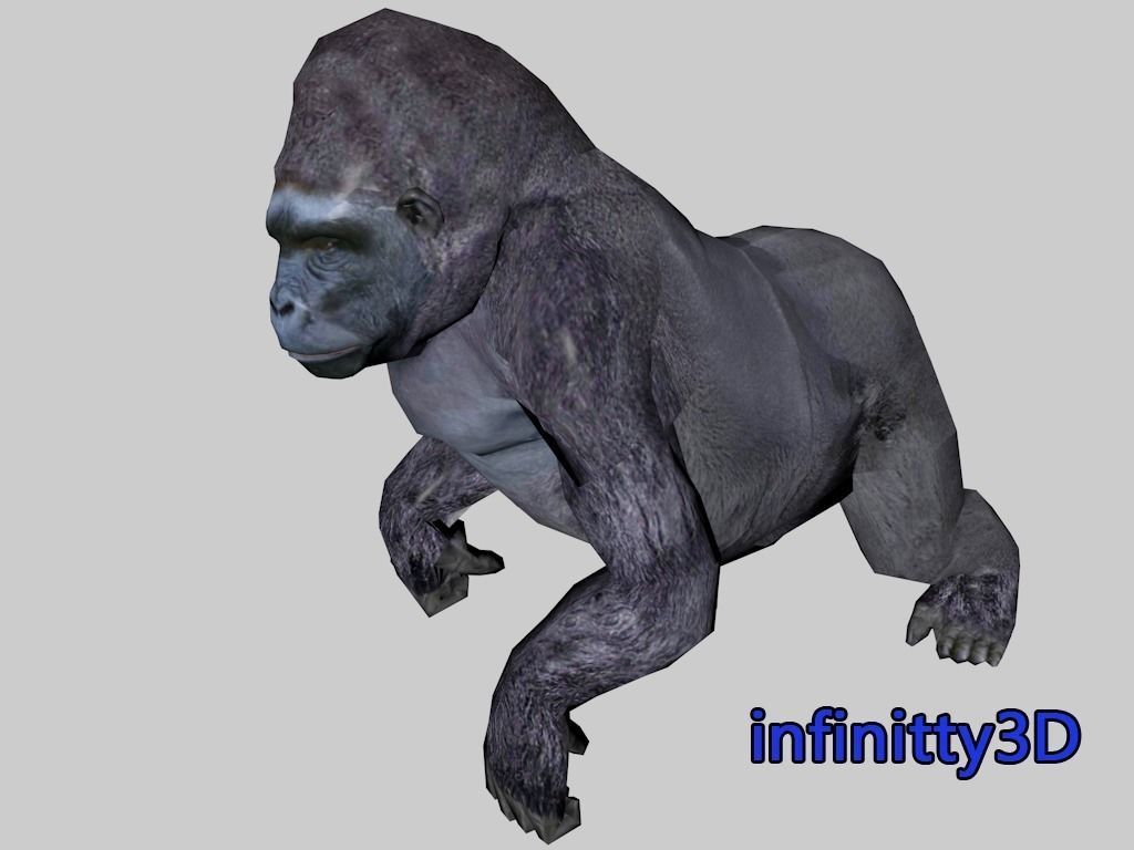 Forest Set animal set  Low-poly 3D model_25