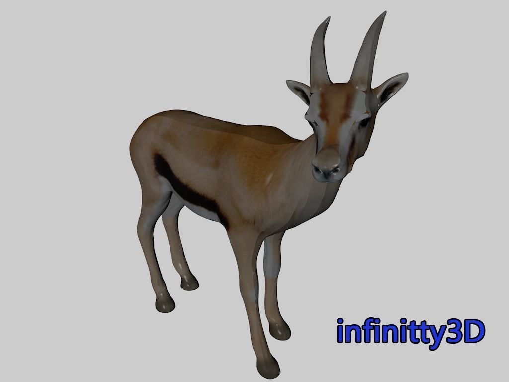 Forest Set animal set  Low-poly 3D model_22