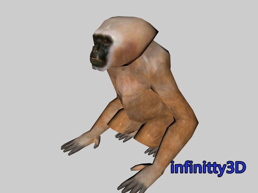 Forest Set animal set  Low-poly 3D model_24