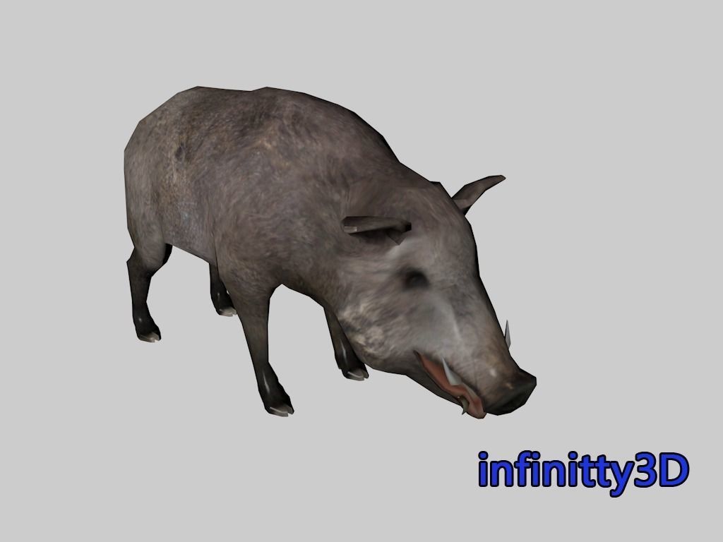 Forest Set animal set  Low-poly 3D model_1