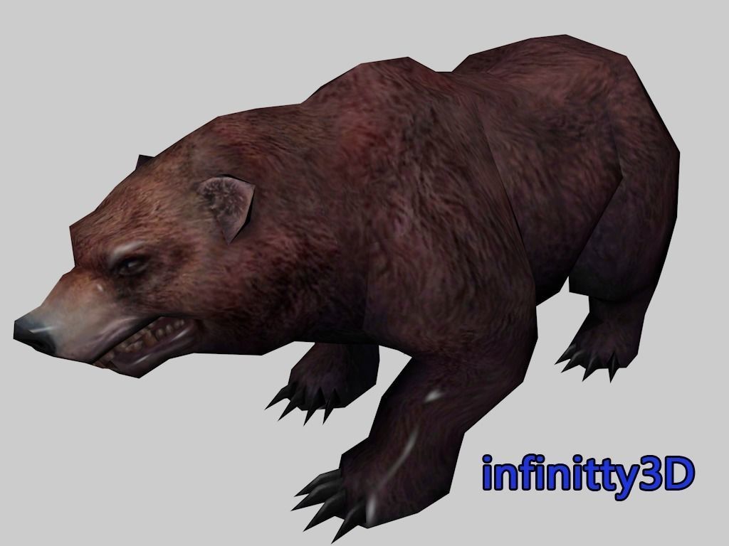 Forest Set animal set  Low-poly 3D model_5