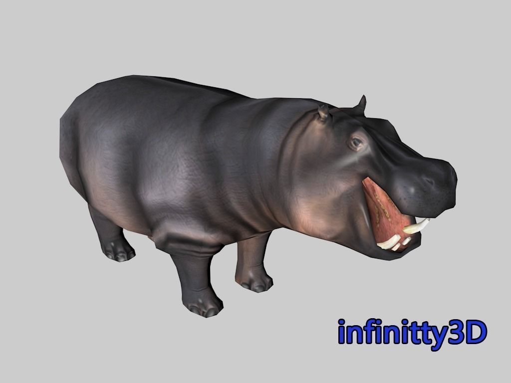 Forest Set animal set  Low-poly 3D model_26