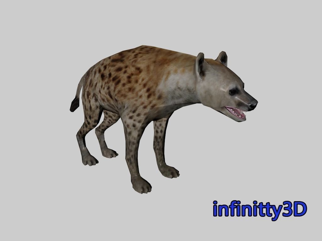 Forest Set animal set  Low-poly 3D model_27