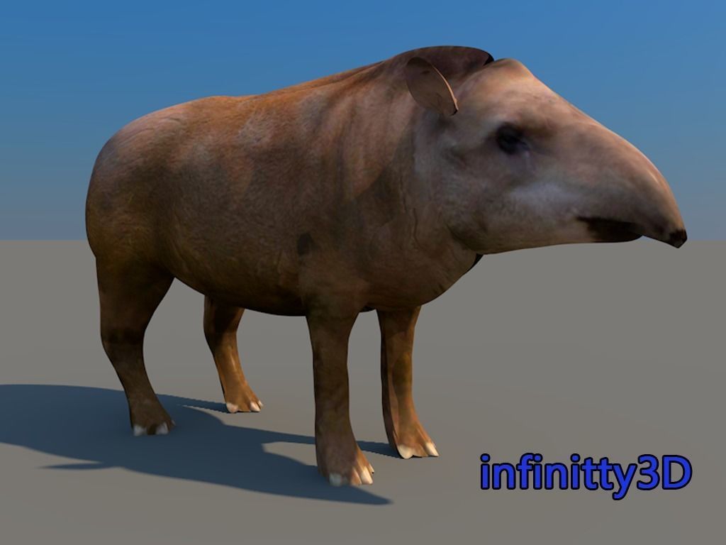 Forest Set animal set  Low-poly 3D model_17