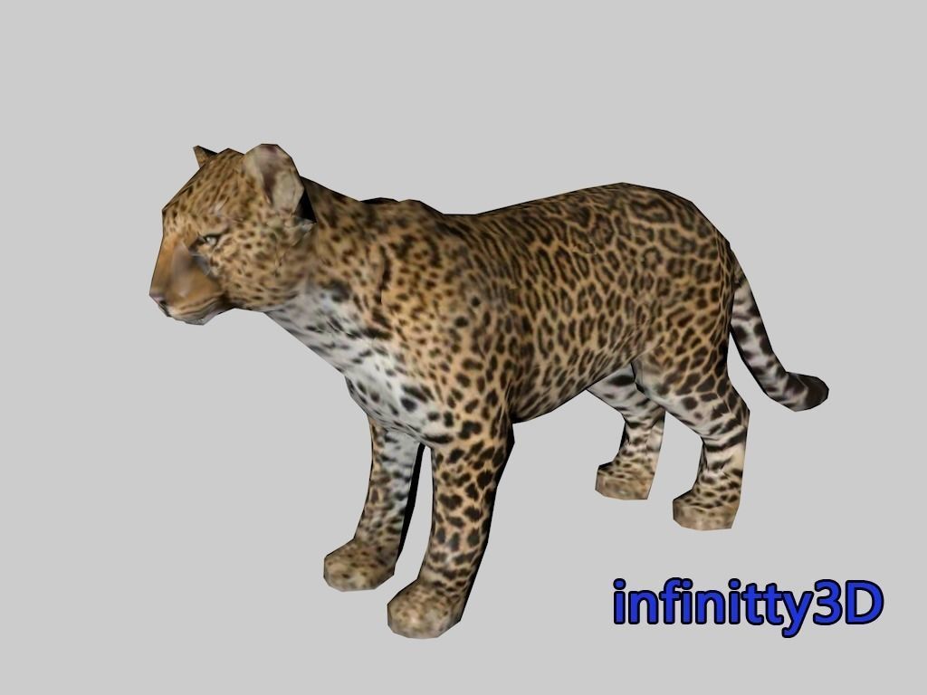 Forest Set animal set  Low-poly 3D model_28