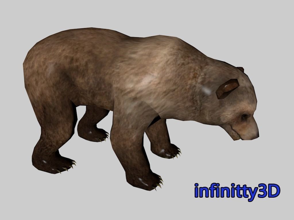 Forest Set animal set  Low-poly 3D model_8