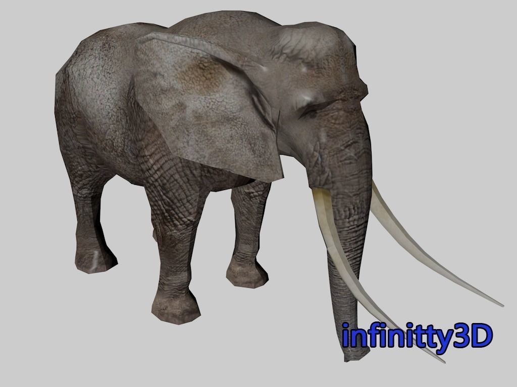 Forest Set animal set  Low-poly 3D model_9