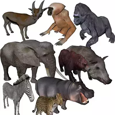 Forest Set animal set  Low-poly 3D model