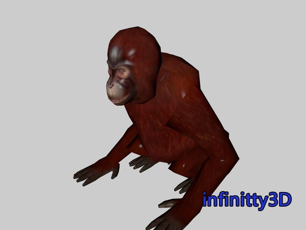 Forest Set animal set  Low-poly 3D model_21