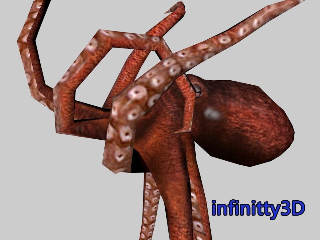 Forest Set animal set  Low-poly 3D model_6