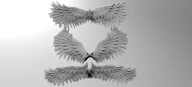 Angel wings Stylized 3 collection