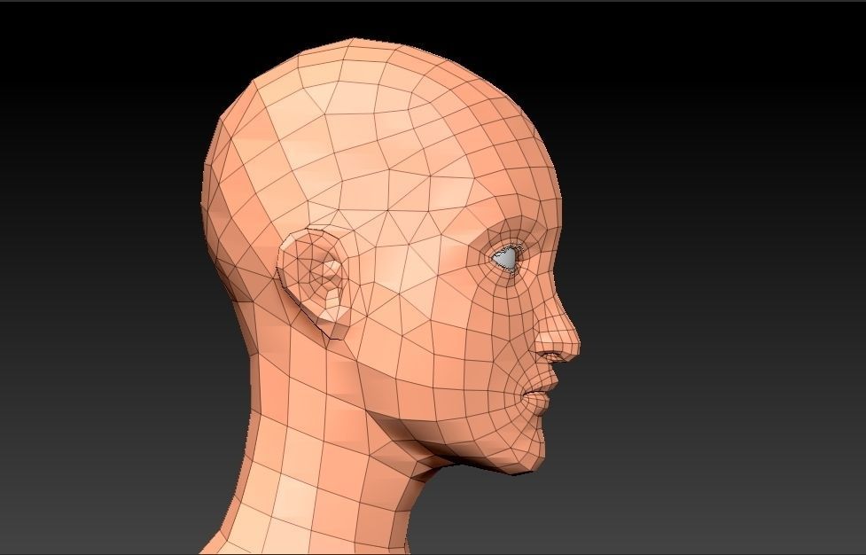 Female Head Low-poly 3D model_5