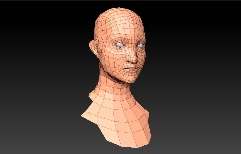 Female Head Low-poly 3D model_4