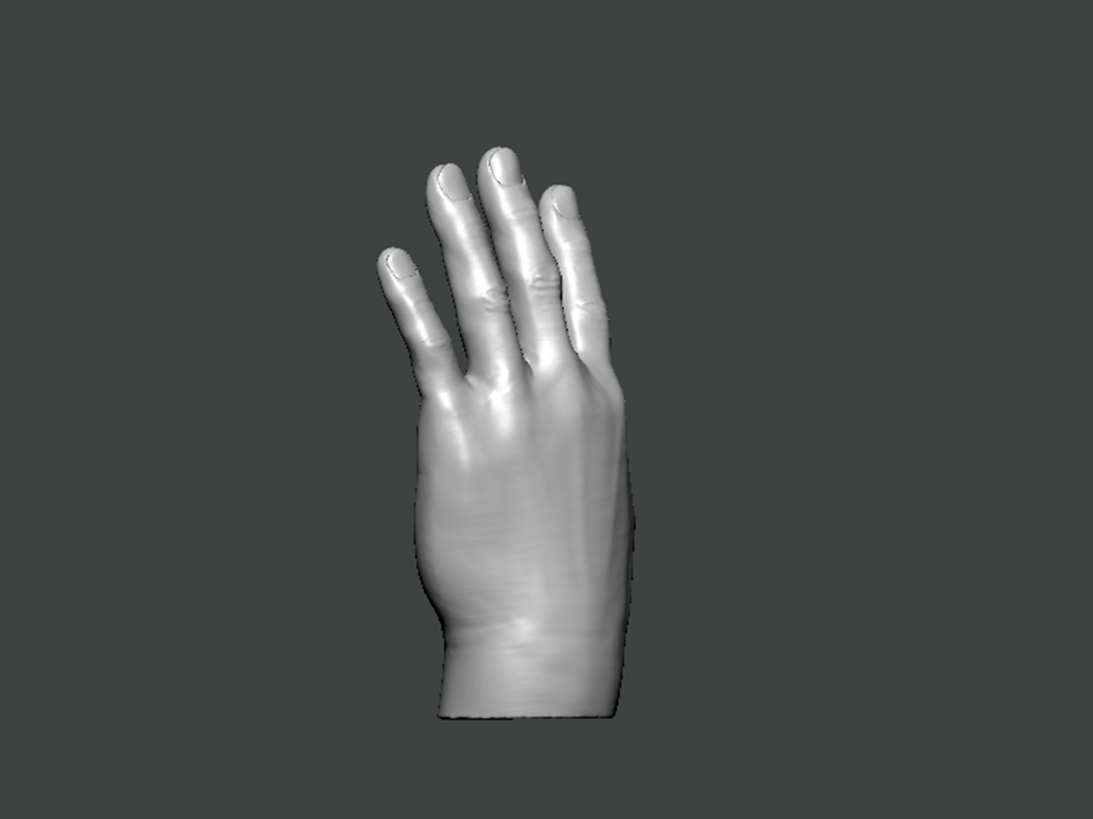3D Model-HAND0001 hand 3D print model_3