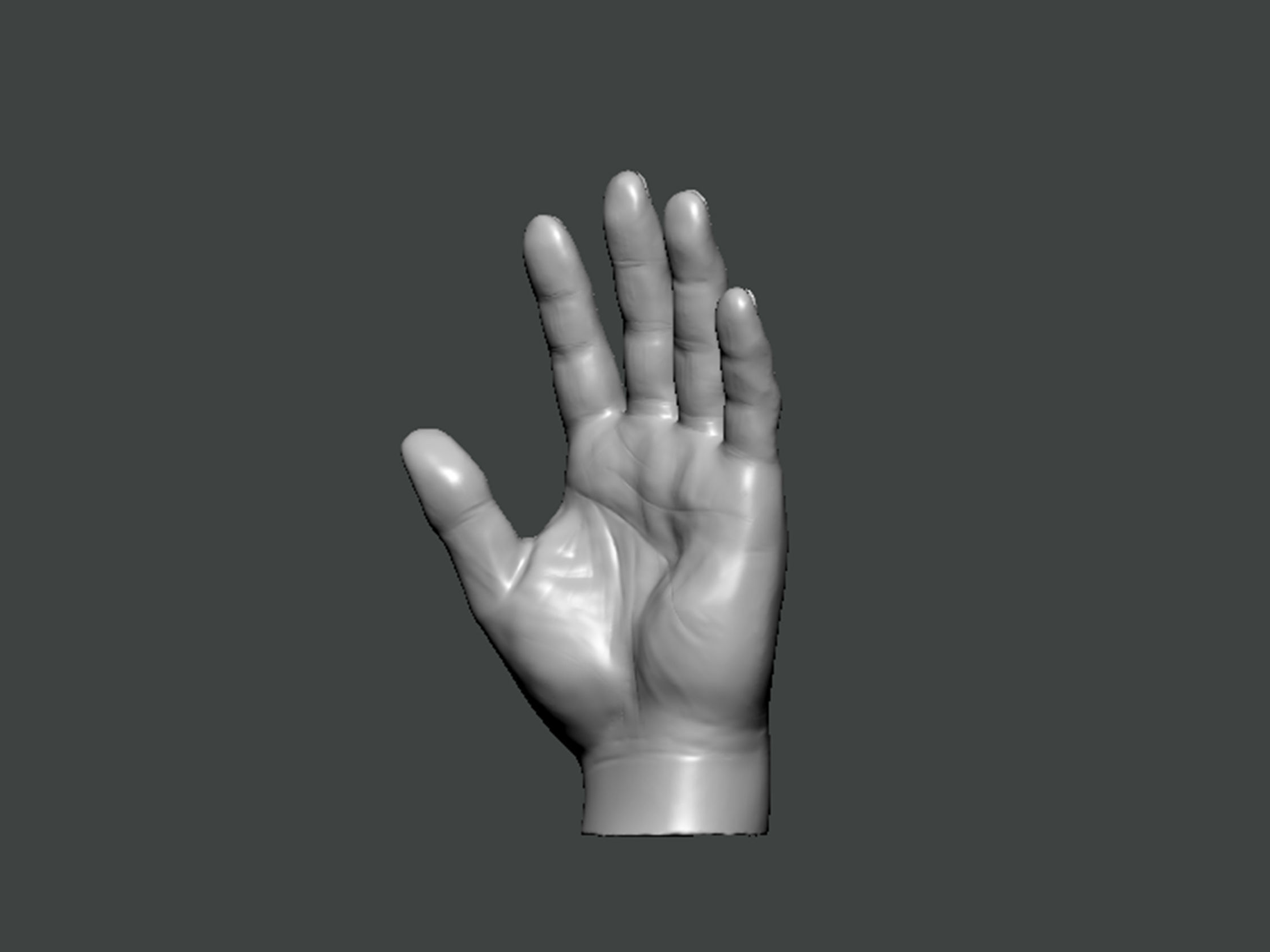 3D Model-HAND0001 hand 3D print model_2