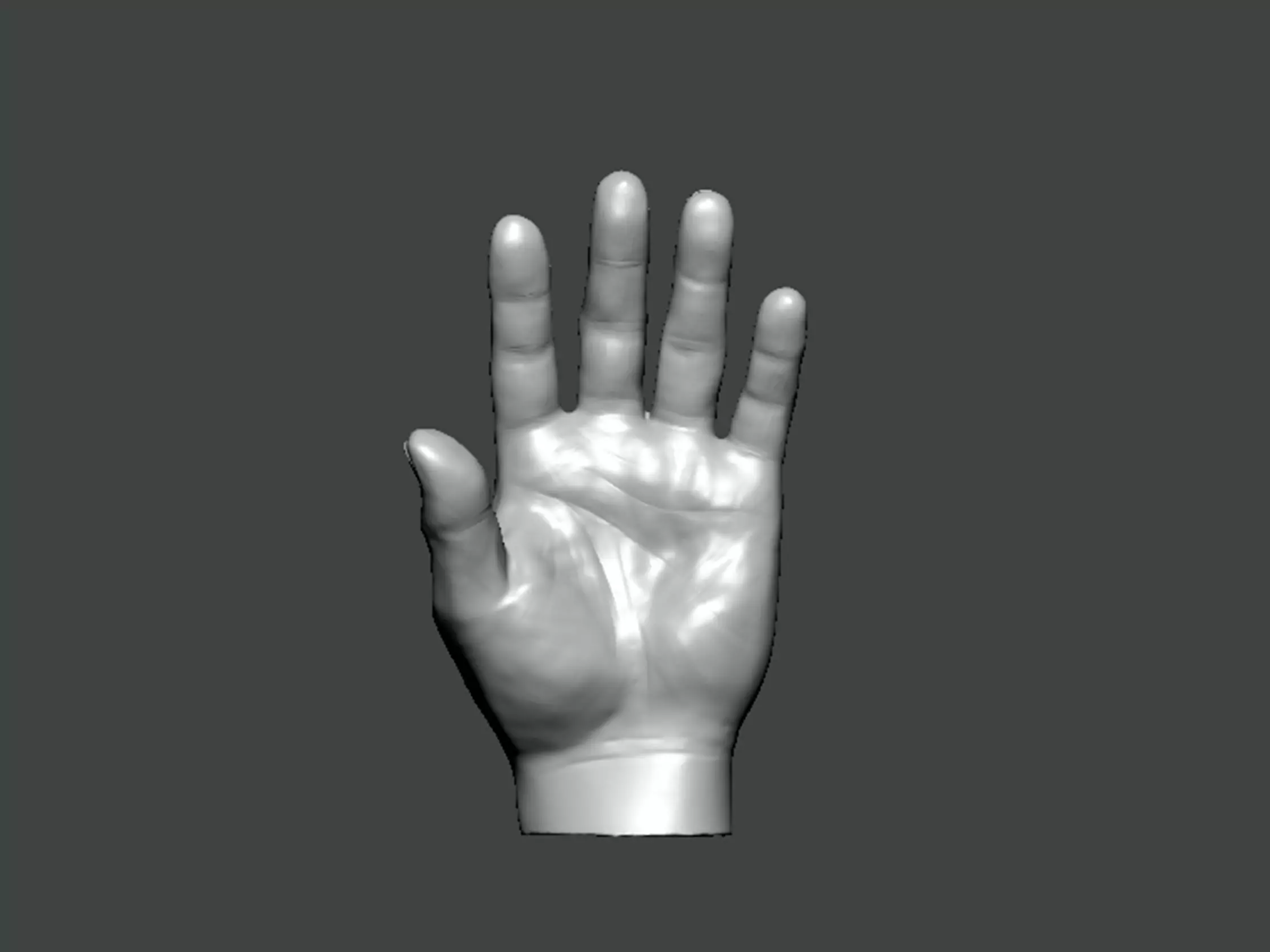 3D Model-HAND0001 hand 3D print model_0