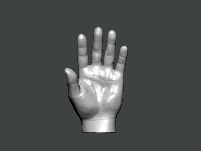 3D Model-HAND0001 hand 3D print model