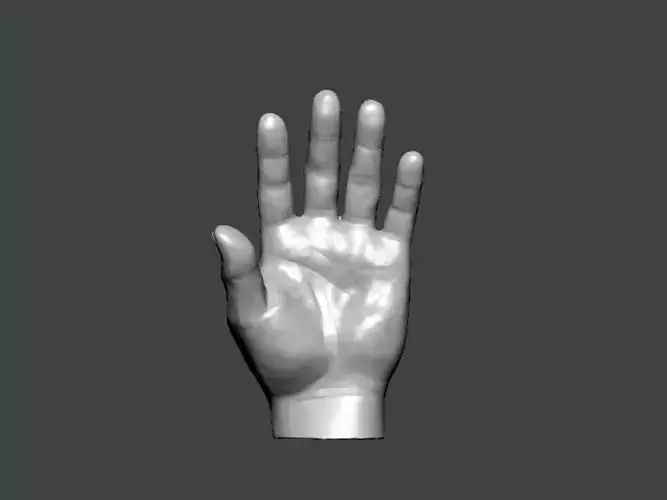 3D Model-HAND0001 hand