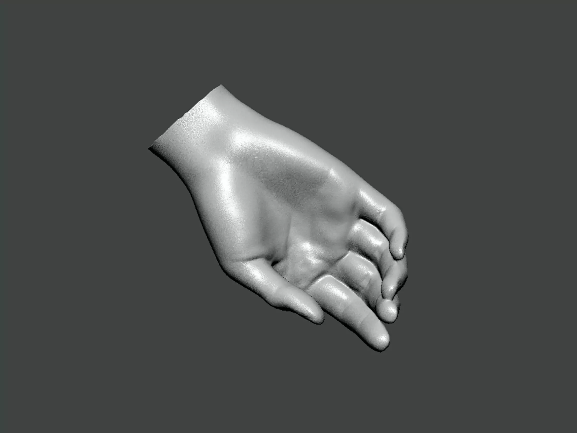 3D Model-HAND0002 hand 3D print model