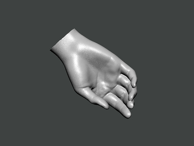 3D Model-HAND0002 hand 3D print model