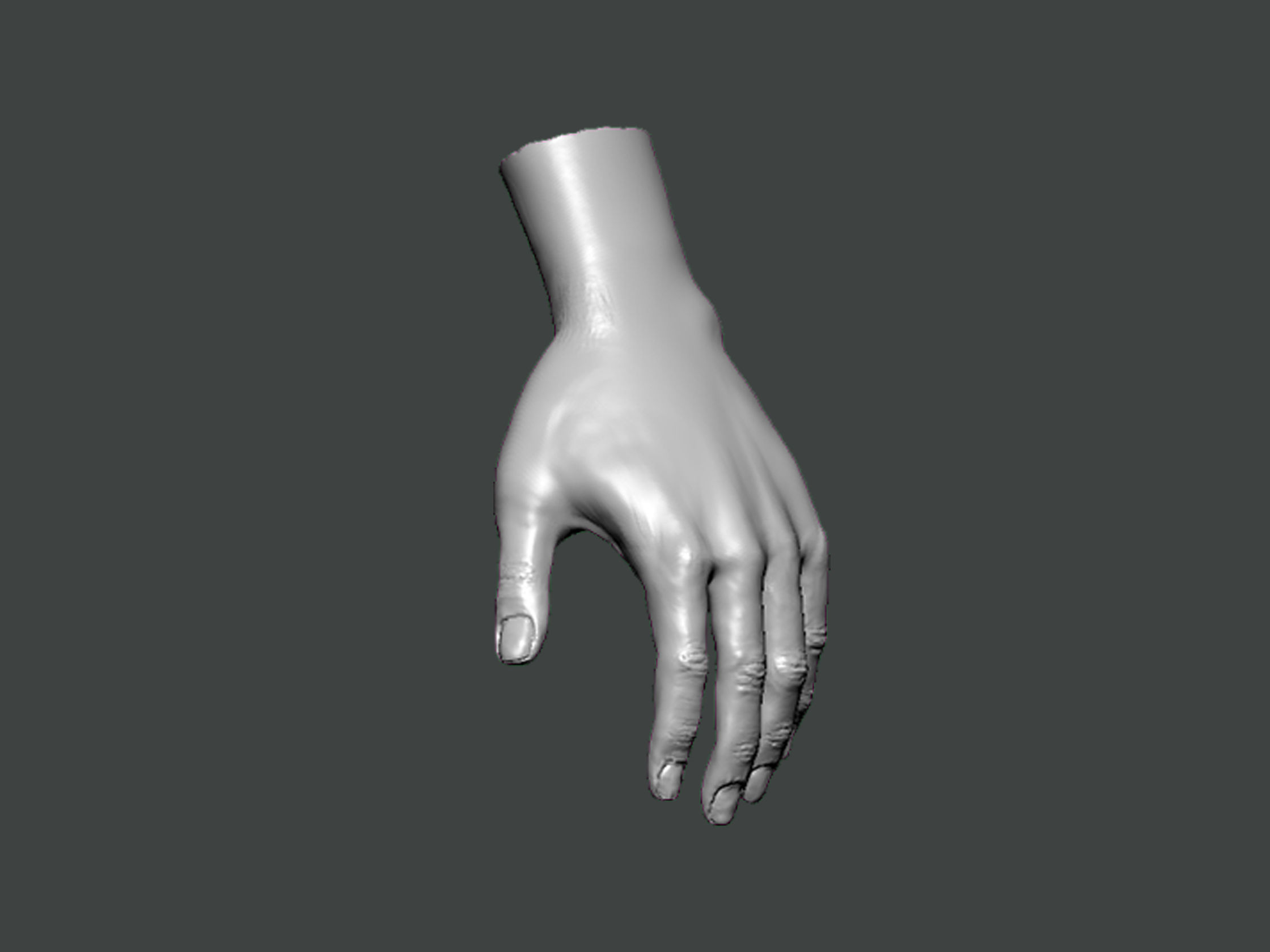 3D Model-HAND0003 hand 3D print model_2