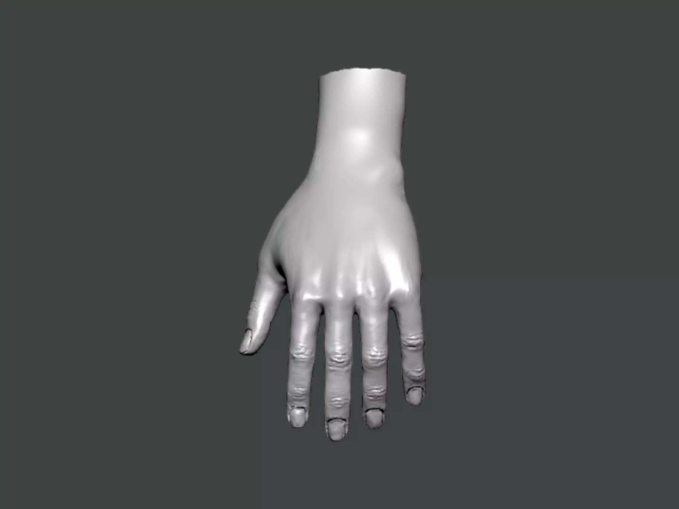 3D Model-HAND0003 hand 3D print model_0