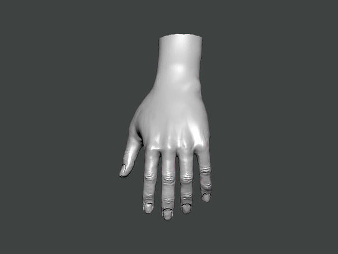 3D Model-HAND0003 hand 3D print model