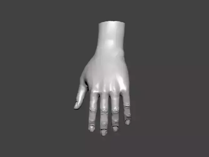 3D Model-HAND0003 hand
