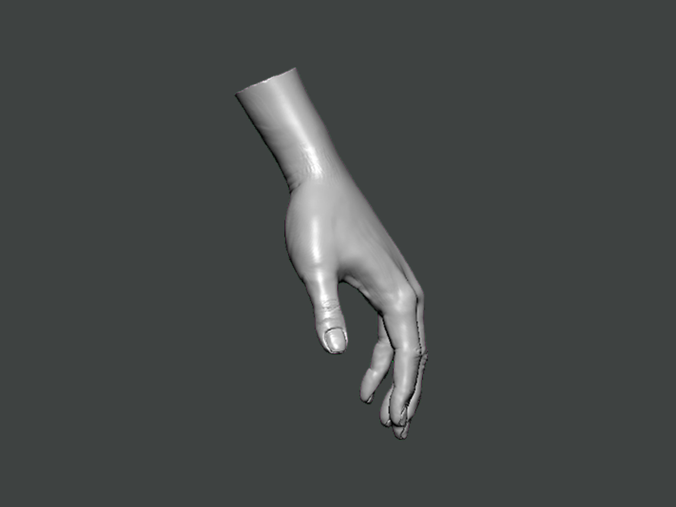 3D Model-HAND0003 hand 3D print model_1