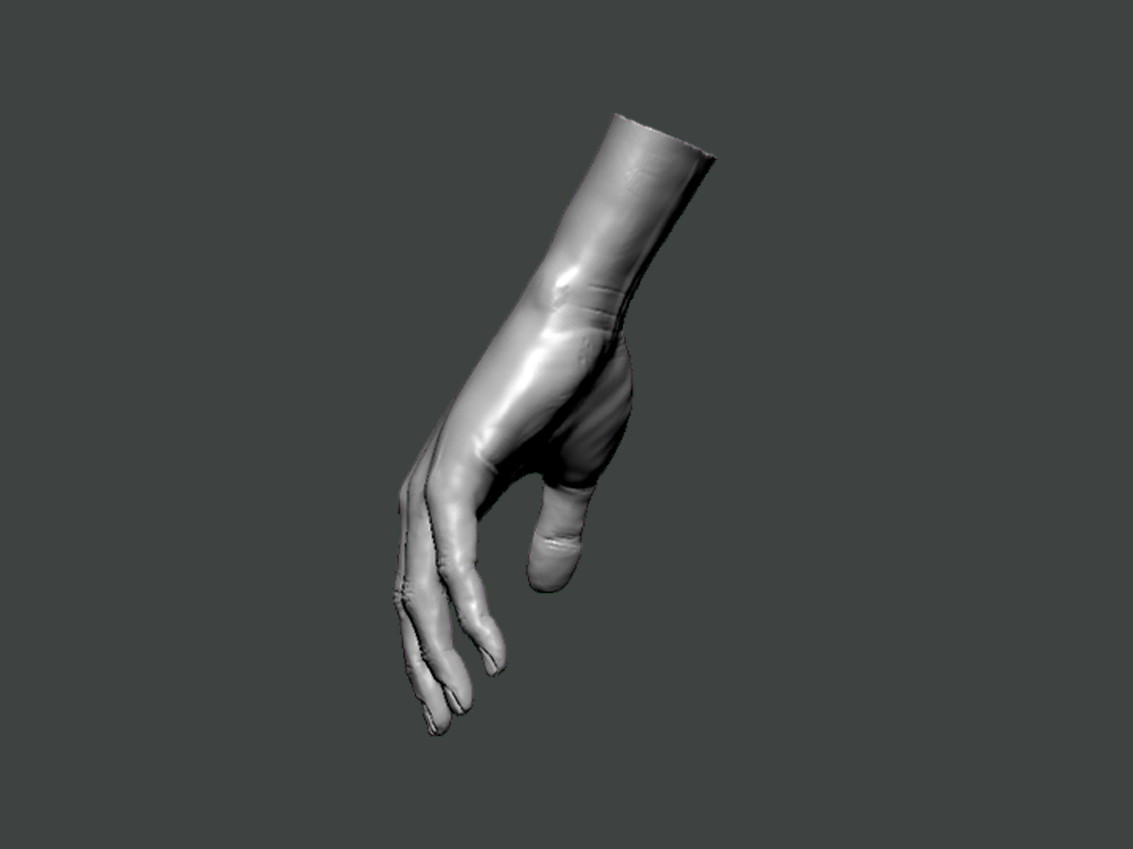 3D Model-HAND0003 hand 3D print model_3