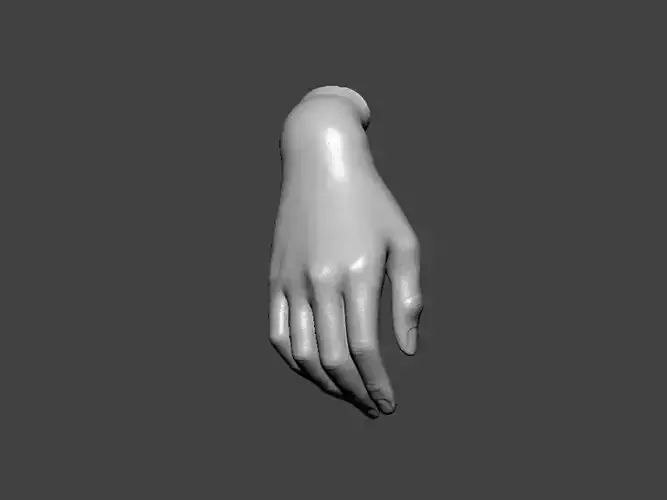 3D Model-HAND0007