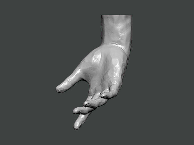 3D Model-HAND0008 hand 3D print model