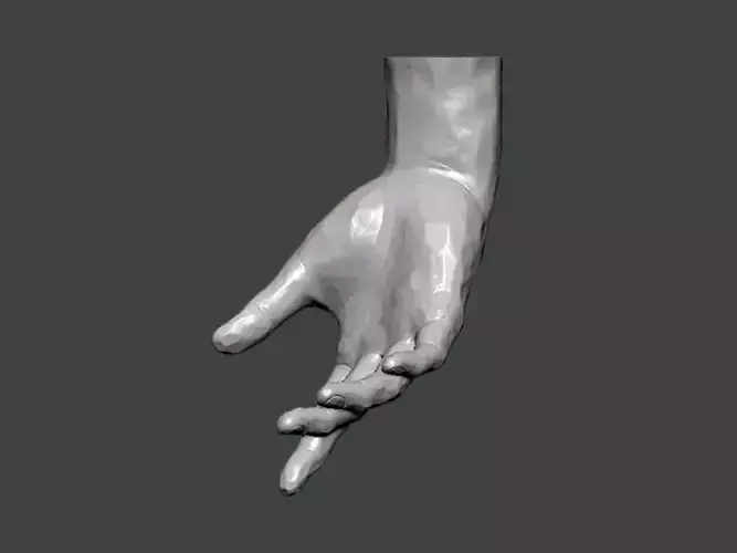 3D Model-HAND0008 hand 3D print model