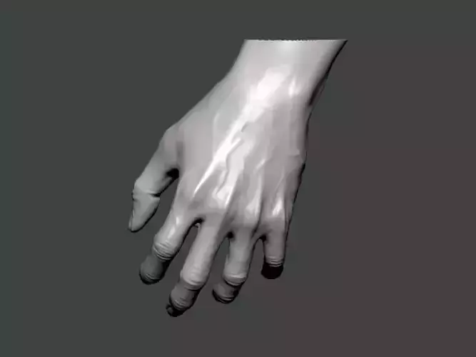 3D Model-HAND0009 hand