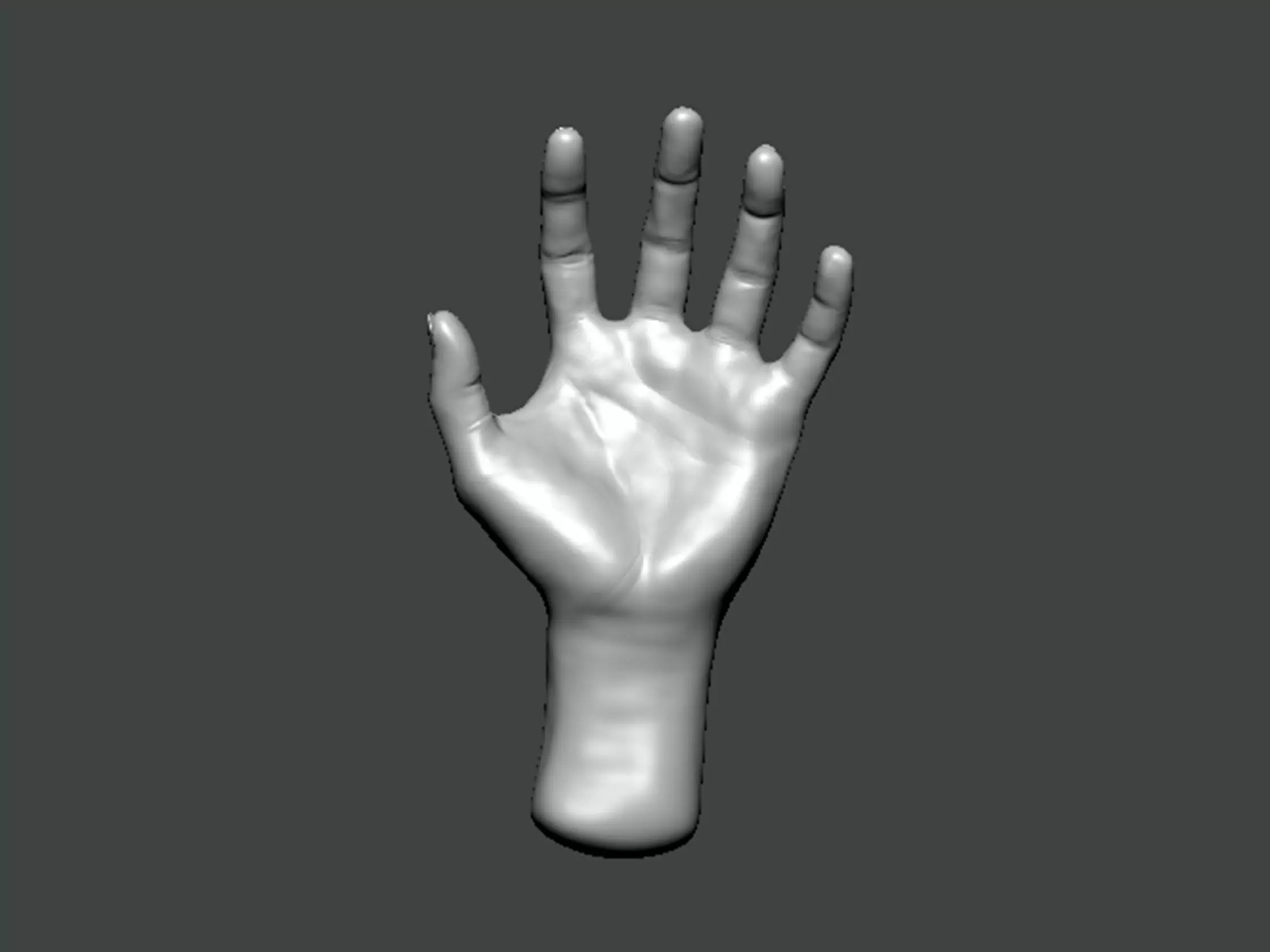 3D Model-HAND0010 hand 3D print model_0