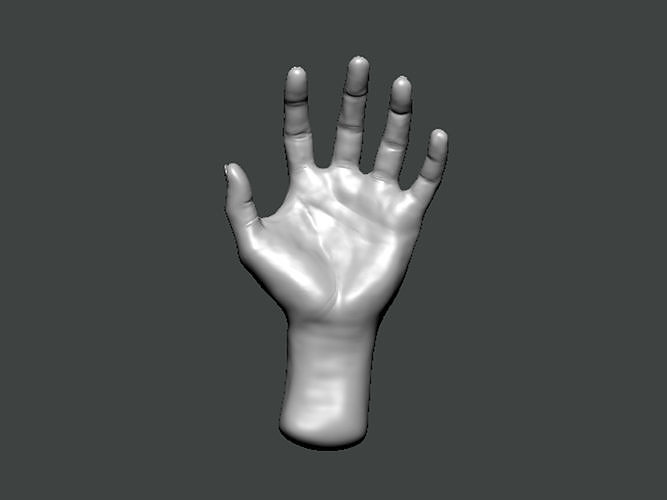3D Model-HAND0010 hand 3D print model