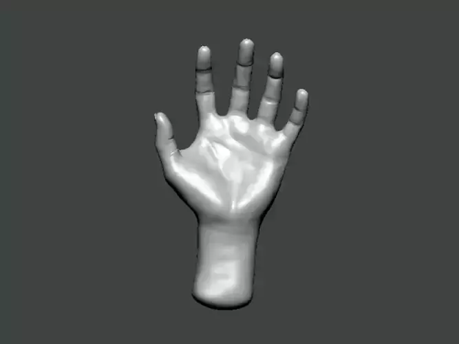 3D Model-HAND0010 hand