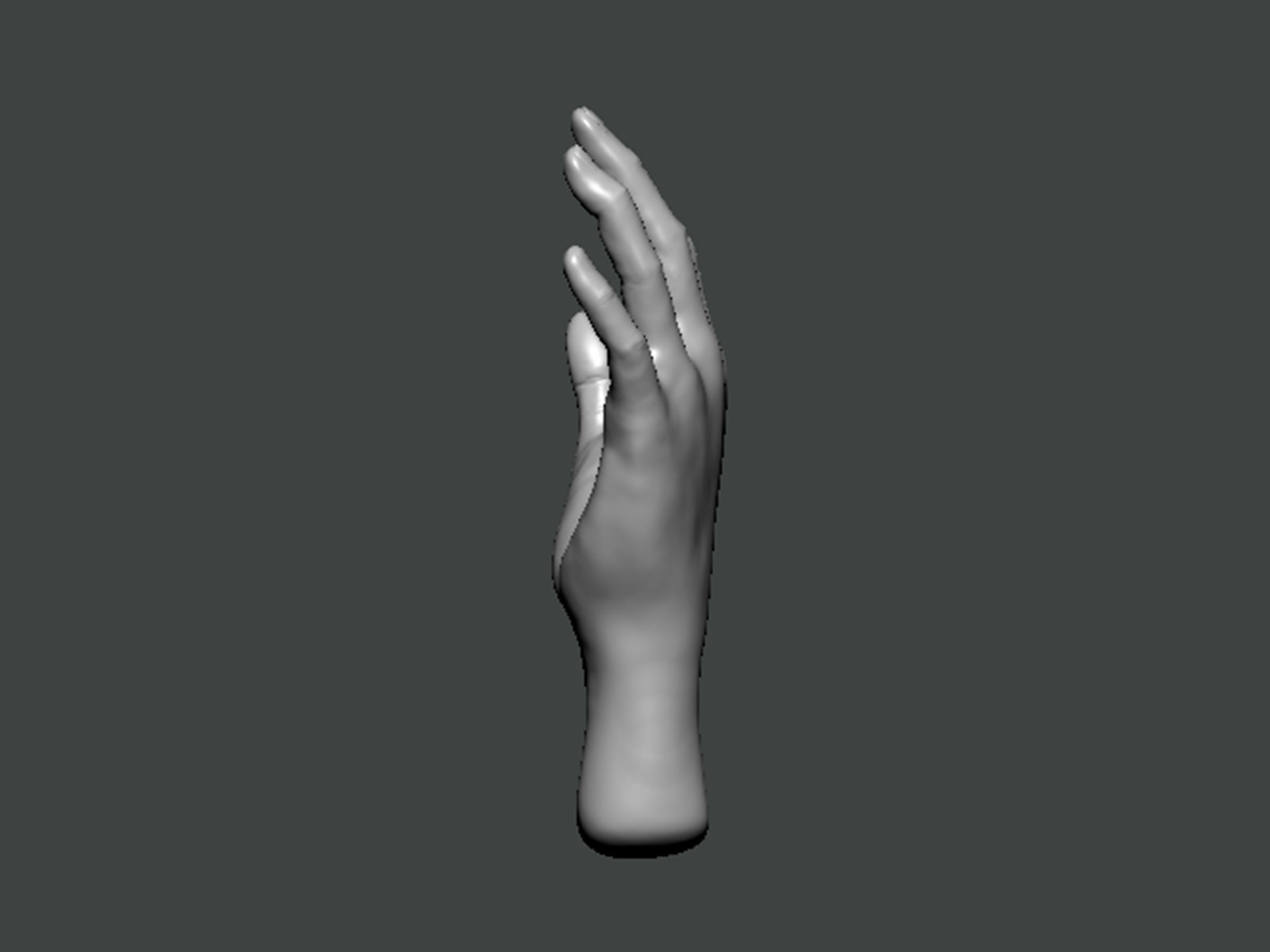 3D Model-HAND0010 hand 3D print model_3