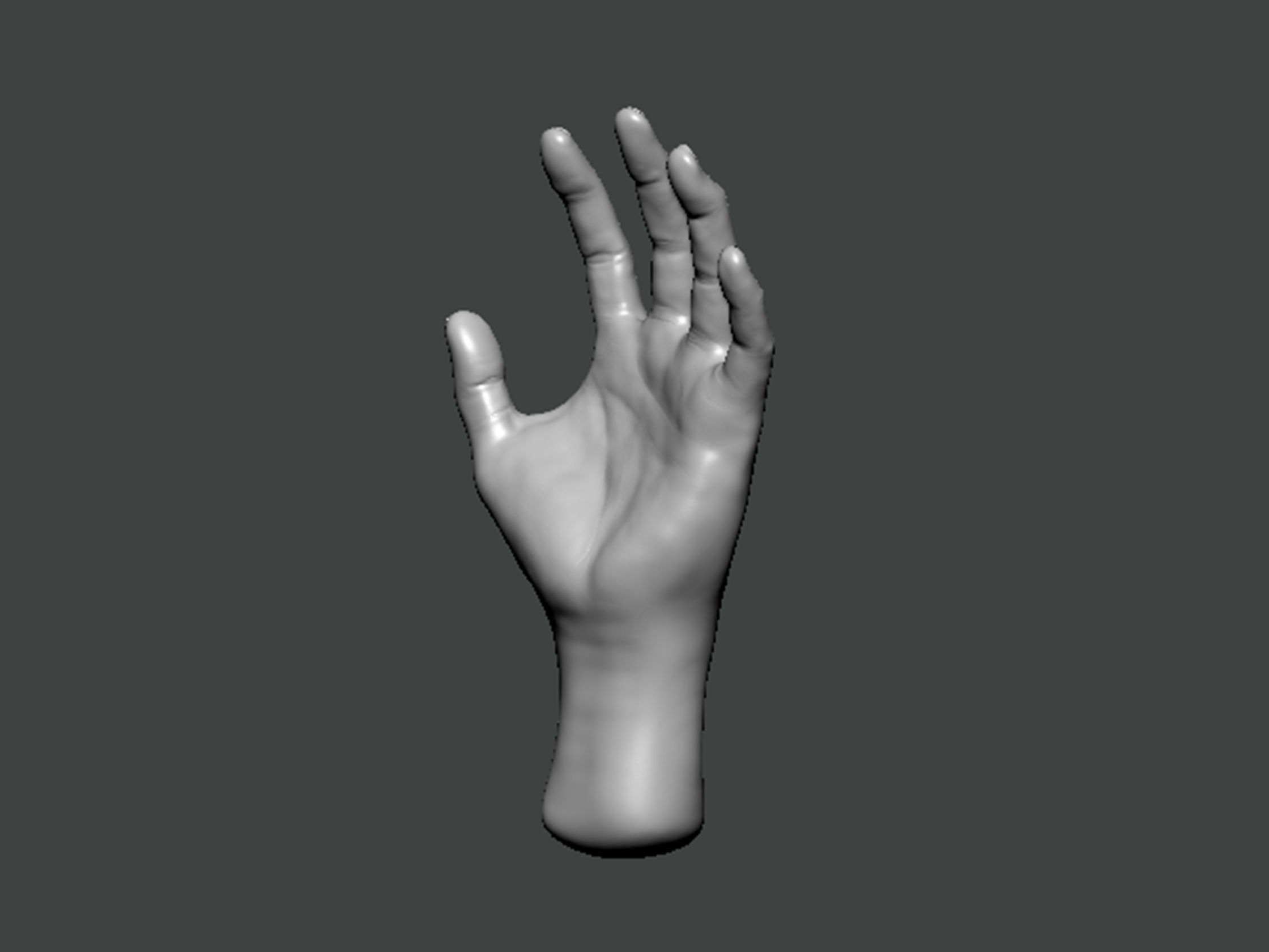 3D Model-HAND0010 hand 3D print model_1