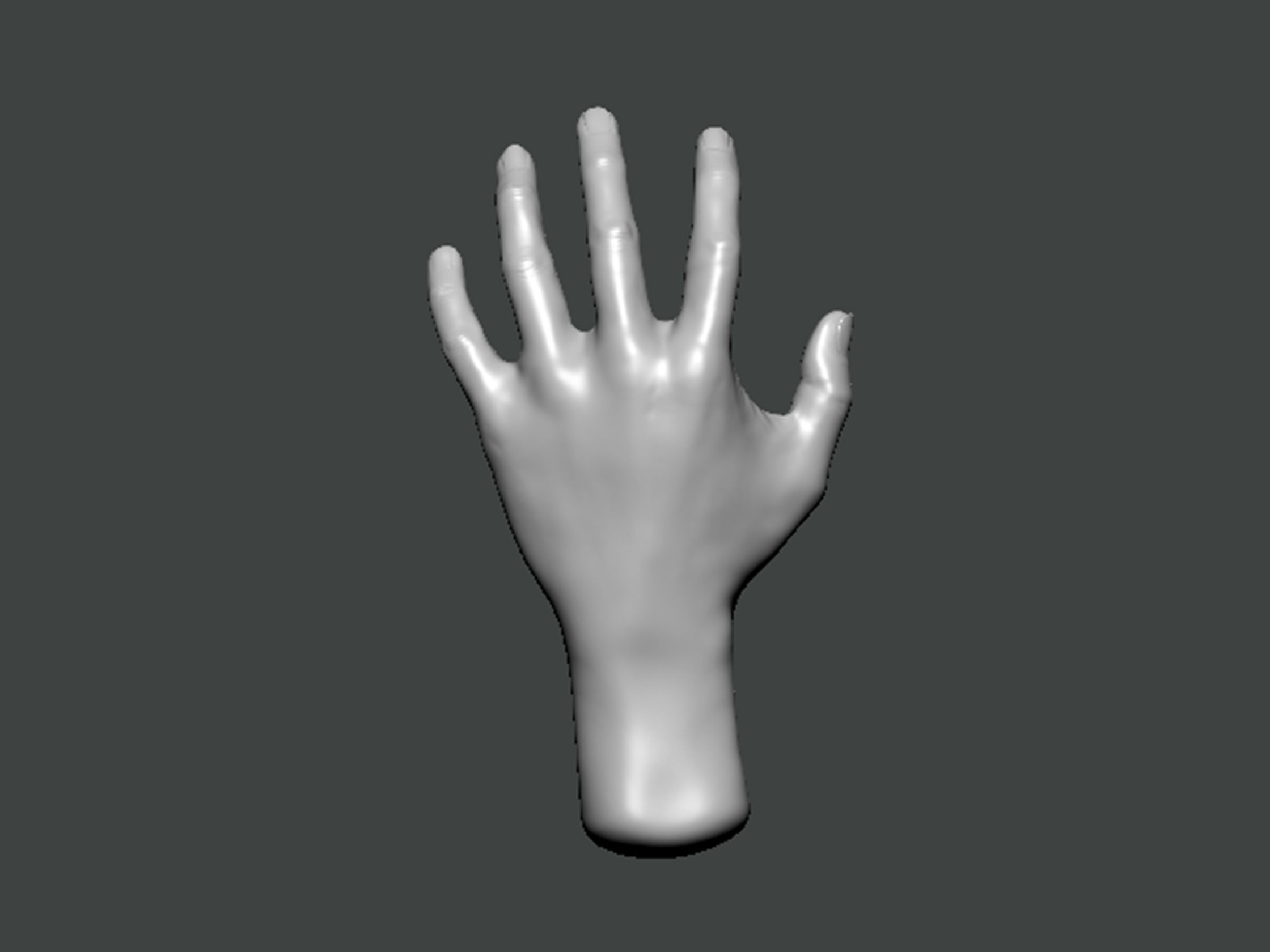 3D Model-HAND0010 hand 3D print model_2