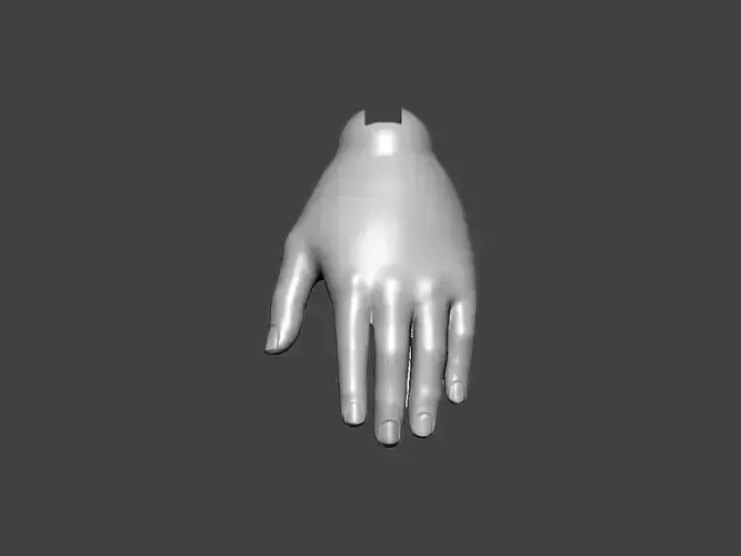 3D Model-HAND0012 hand